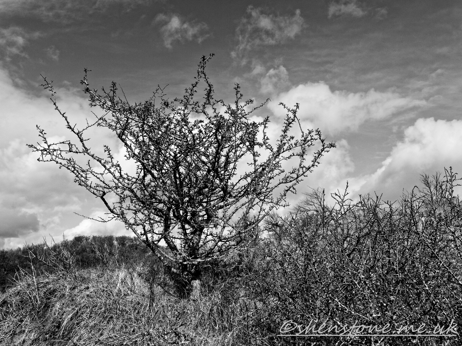 Click image for larger version

Name:	Merthyr Mawr_00003.jpg
Views:	71
Size:	1,022.9 KB
ID:	1041468