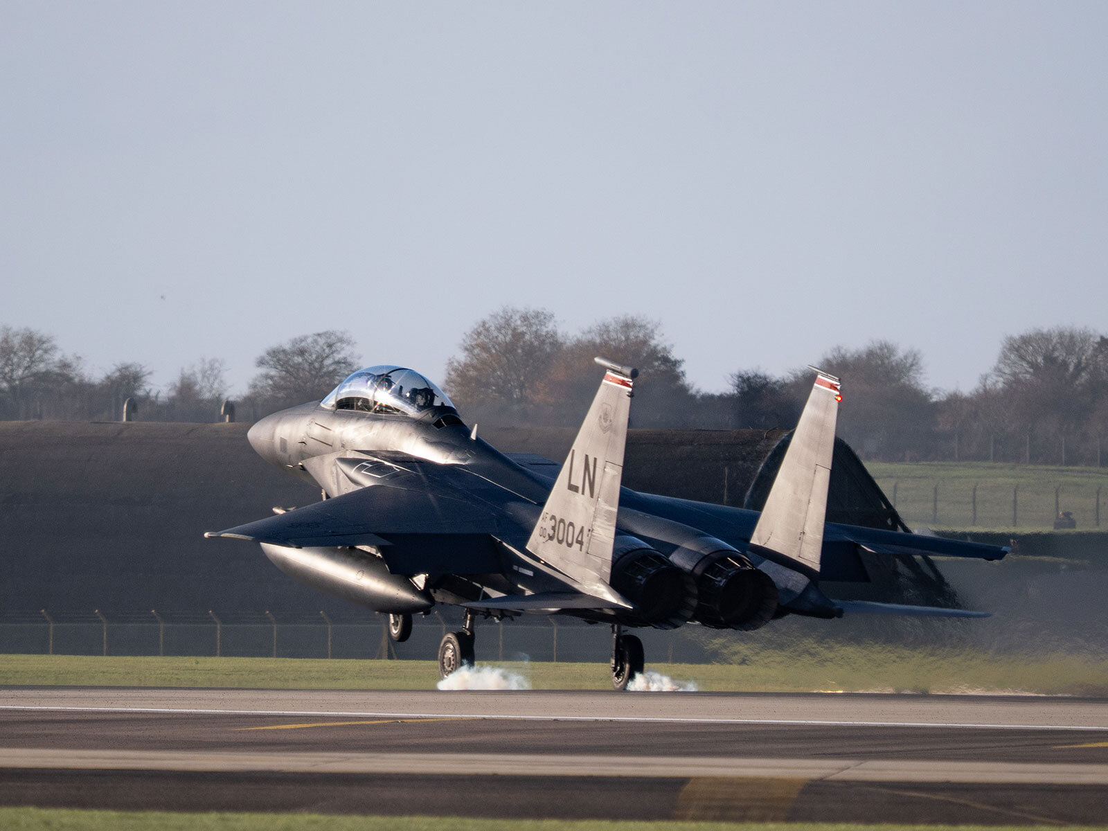 Click image for larger version

Name:	F-15E-Strike-Eagle-LN-AF-00-3004-.jpg
Views:	115
Size:	236.3 KB
ID:	1042718