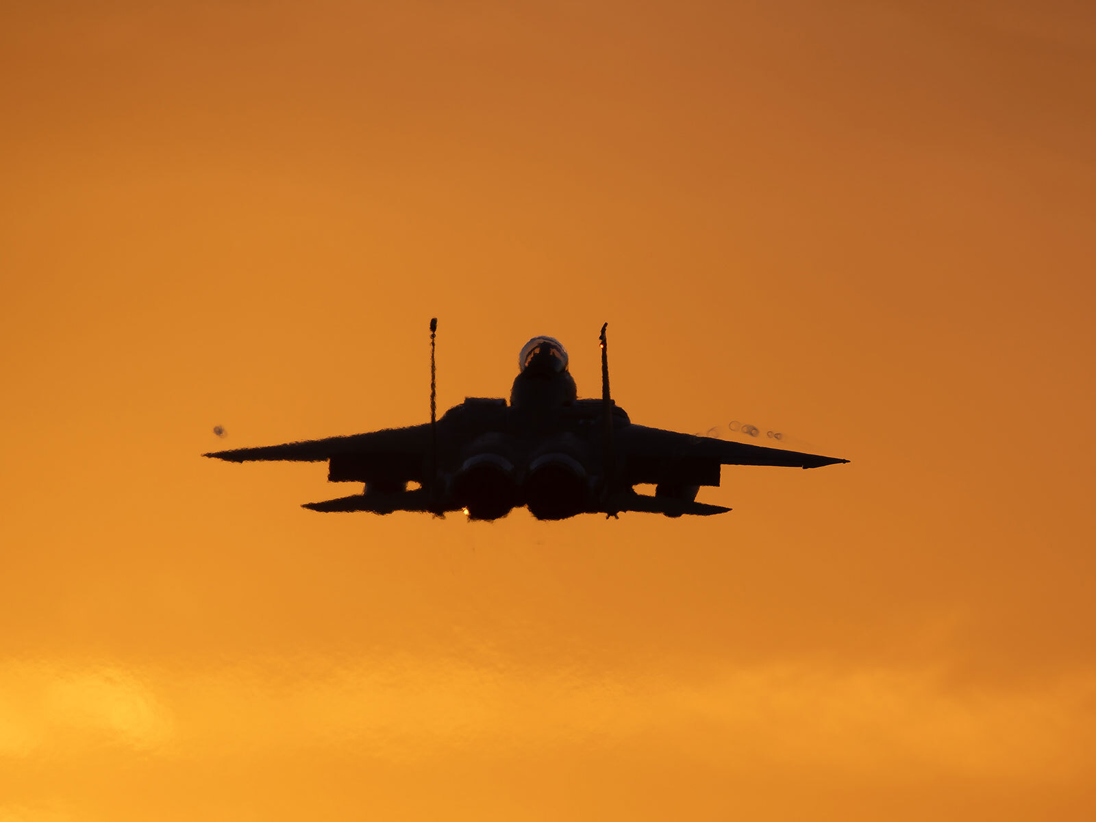 Click image for larger version

Name:	F-15E-Strike-Eagle-LN-AF-91-0302-2.jpg
Views:	113
Size:	63.2 KB
ID:	1042722