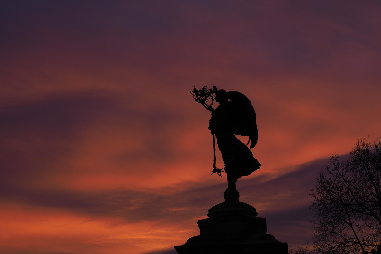 Click image for larger version

Name:	PC160109A.jpg
Views:	326
Size:	111.8 KB
ID:	1043271