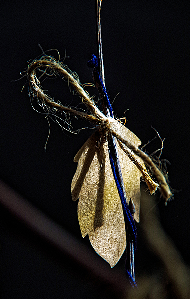 Click image for larger version

Name:	IMGP1841_DxO.png
Views:	59
Size:	667.6 KB
ID:	1043299