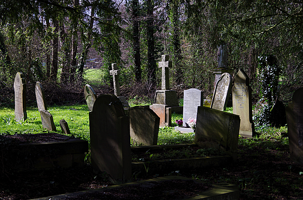 Click image for larger version

Name:	IMGP1858_DxO.png
Views:	59
Size:	687.9 KB
ID:	1043300