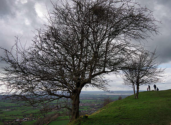 Click image for larger version

Name:	IMGP1932_DxO.png
Views:	59
Size:	671.5 KB
ID:	1043305