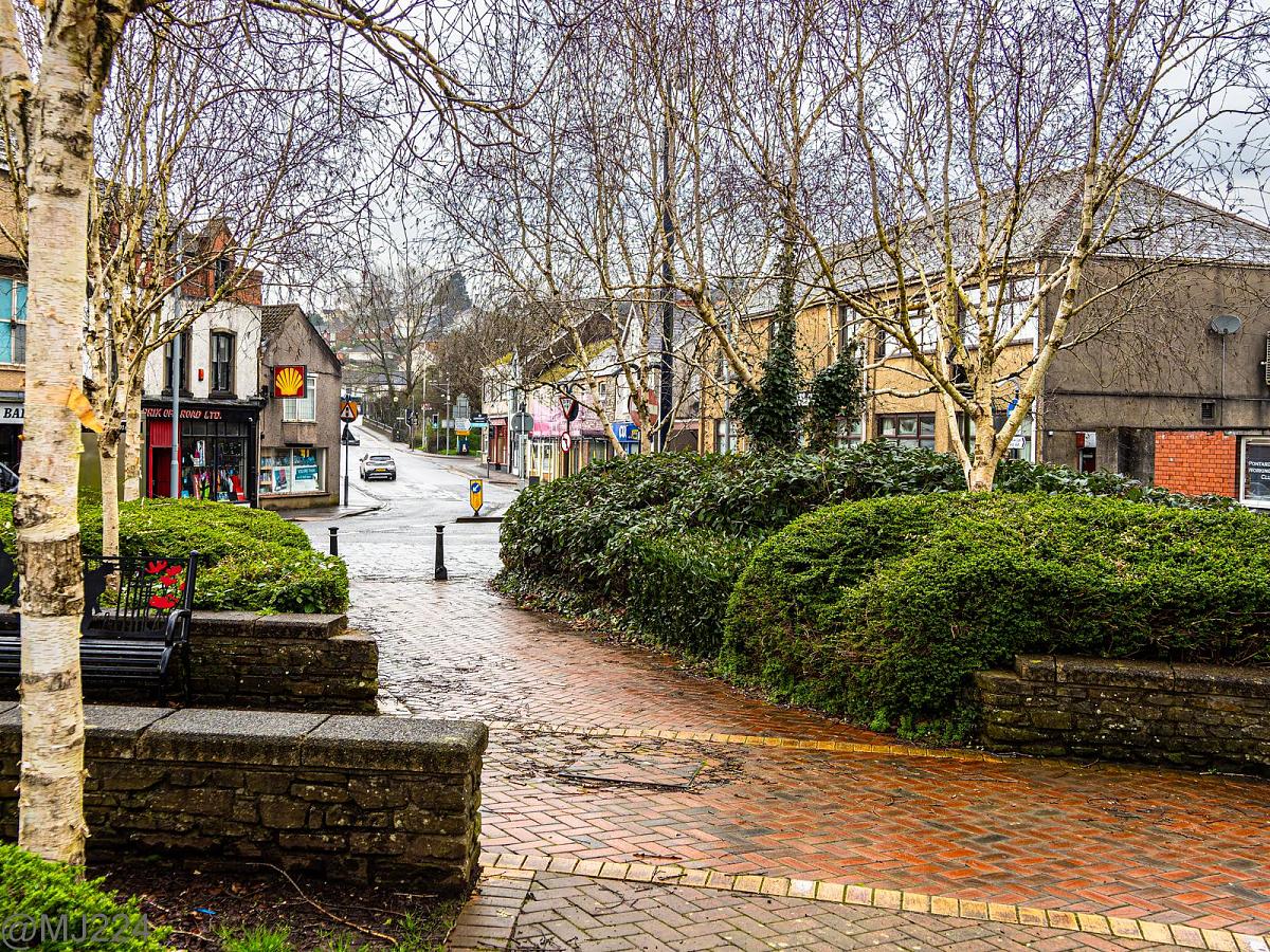 Click image for larger version  Name:	P3057295-DxO_DeepPRIME XD2s-3.jpg Views:	0 Size:	713.6 KB ID:	1043494