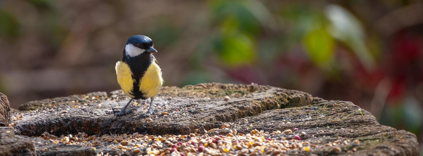 Click image for larger version

Name:	P1R29894_3000.jpg
Views:	174
Size:	120.2 KB
ID:	1043501