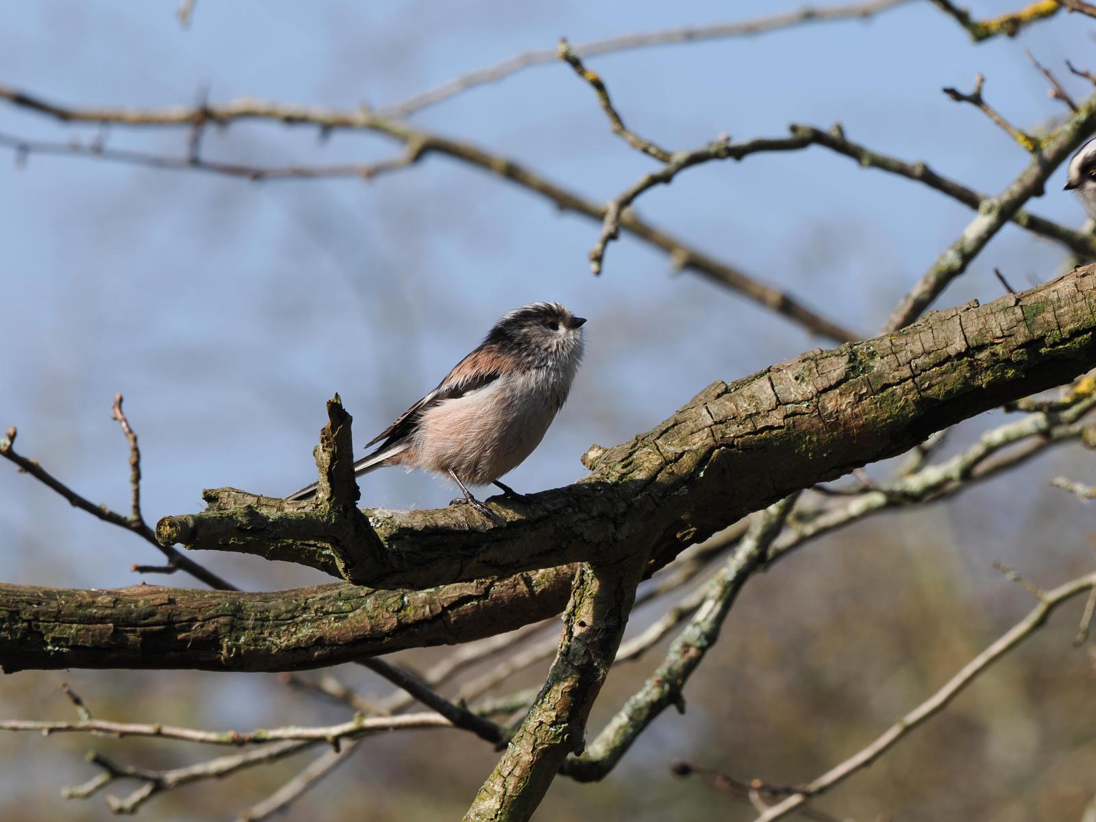 Click image for larger version  Name:	P3040019.jpg Views:	9 Size:	173.9 KB ID:	1043572