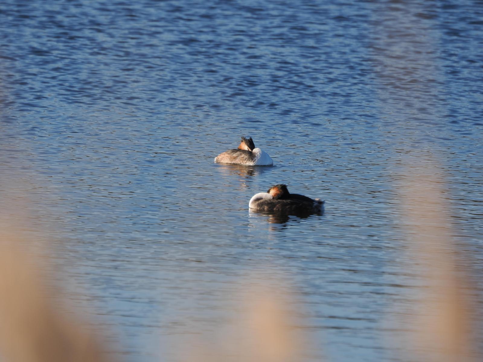 Click image for larger version  Name:	P3040124.jpg Views:	9 Size:	213.1 KB ID:	1043573