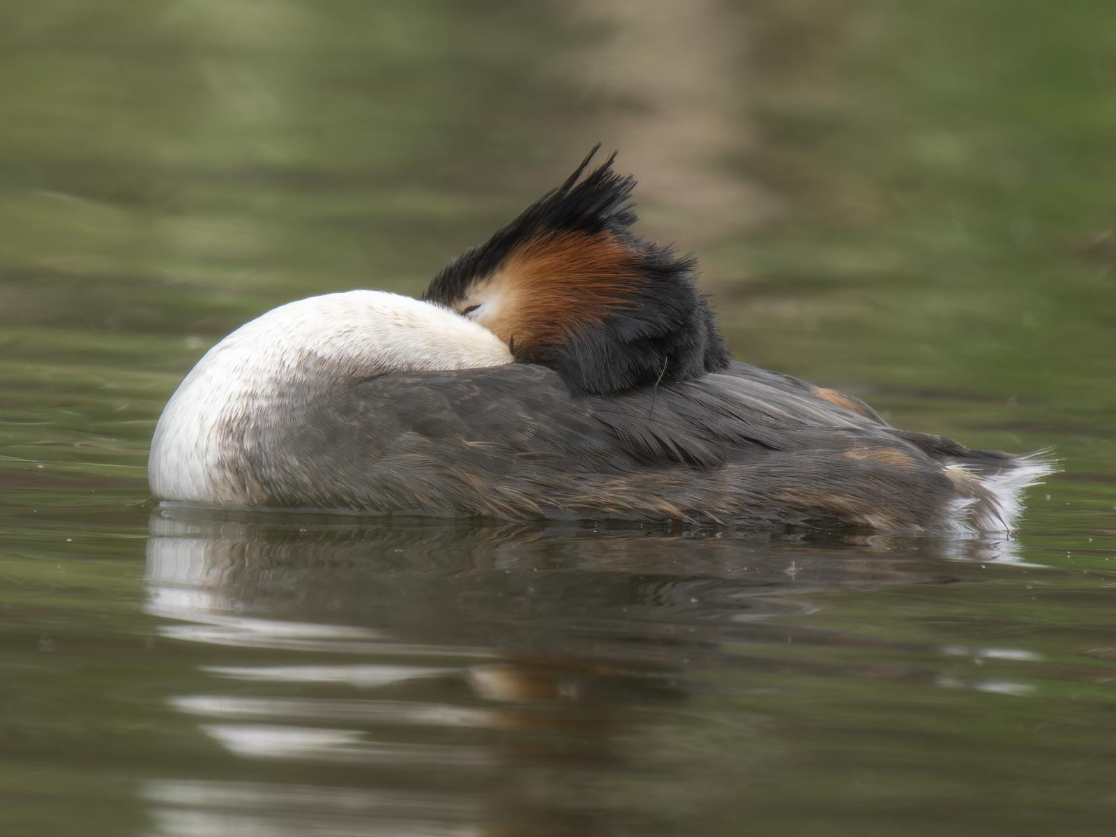 Click image for larger version

Name:	post-3.jpg
Views:	36
Size:	124.7 KB
ID:	1043676