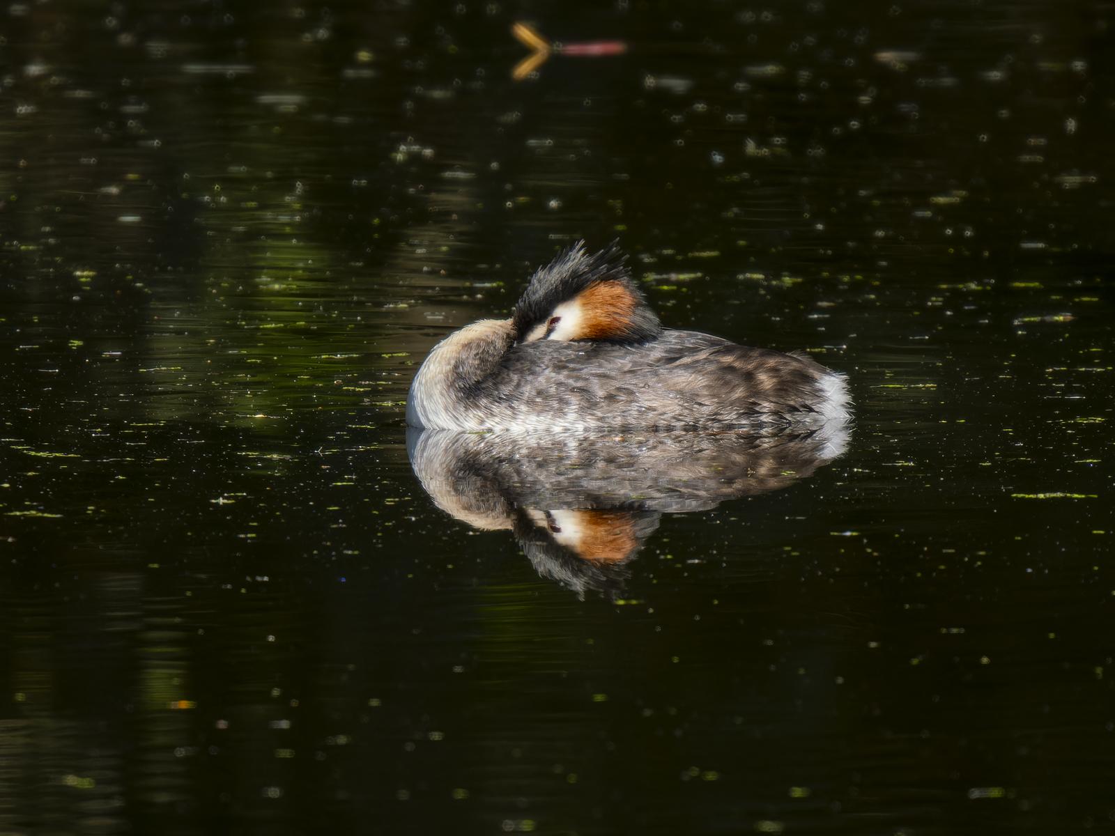 Click image for larger version

Name:	post-1.jpg
Views:	30
Size:	148.9 KB
ID:	1043677