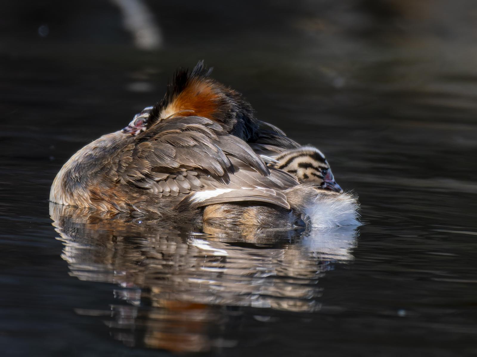 Click image for larger version

Name:	post-4.jpg
Views:	29
Size:	157.7 KB
ID:	1043678