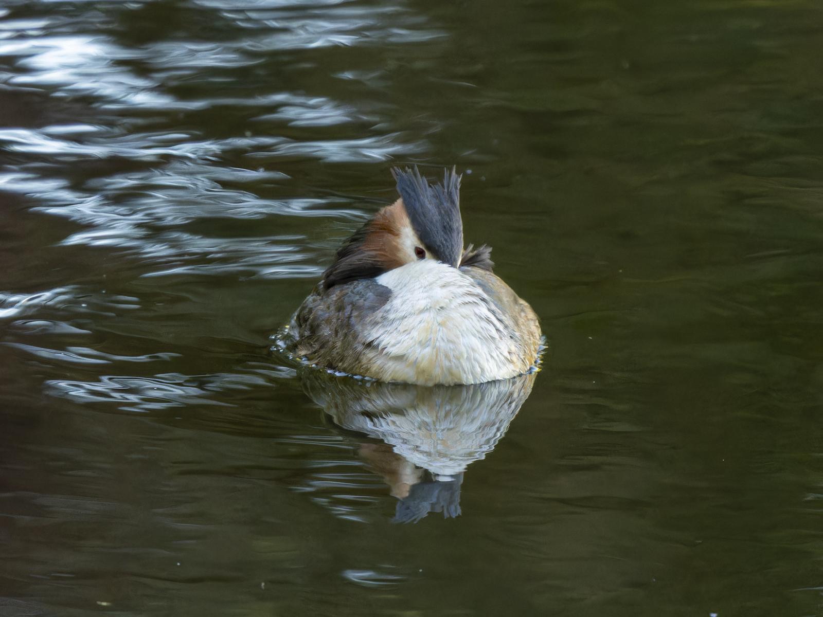 Click image for larger version

Name:	post-2.jpg
Views:	29
Size:	155.8 KB
ID:	1043679