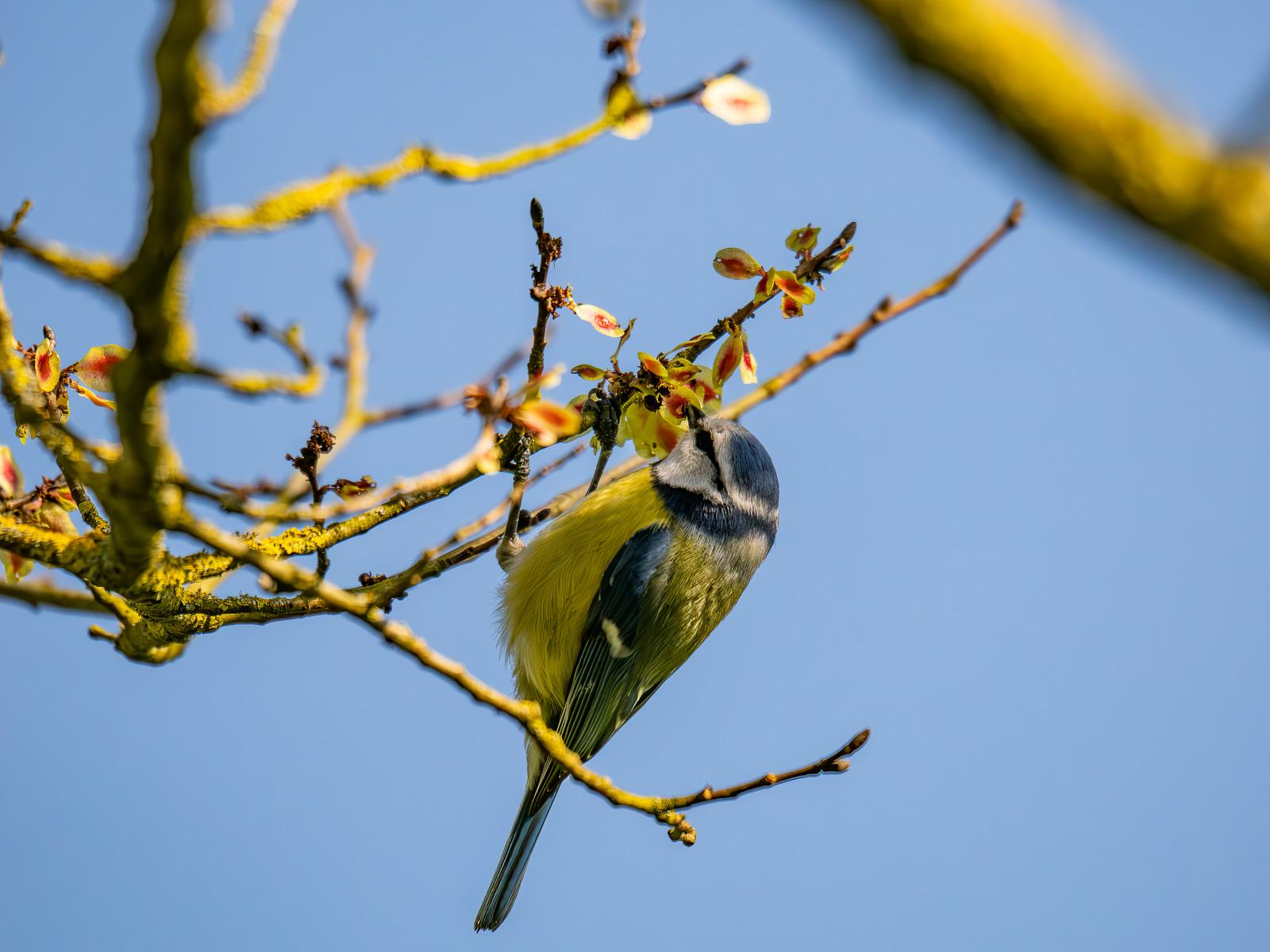 Click image for larger version

Name:	_3210017-Edit.jpg
Views:	174
Size:	133.7 KB
ID:	1044599