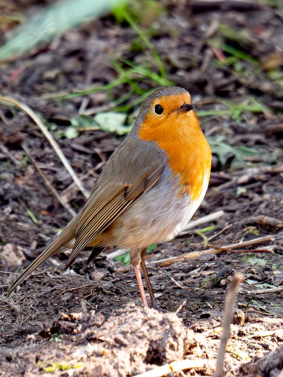 Click image for larger version  Name:	_3210001-Edit.jpg Views:	0 Size:	220.7 KB ID:	1044623