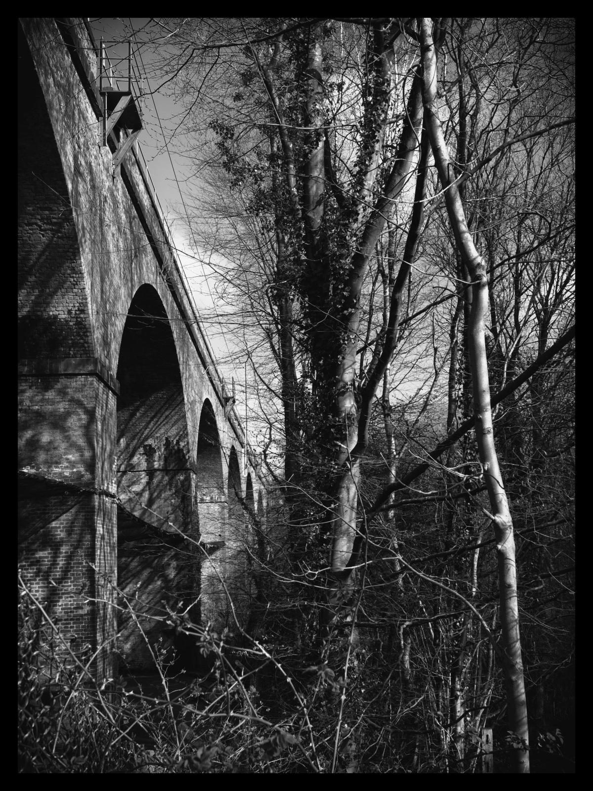 Click image for larger version

Name:	OMD50008 copy_Nik.jpg
Views:	153
Size:	466.5 KB
ID:	1044752