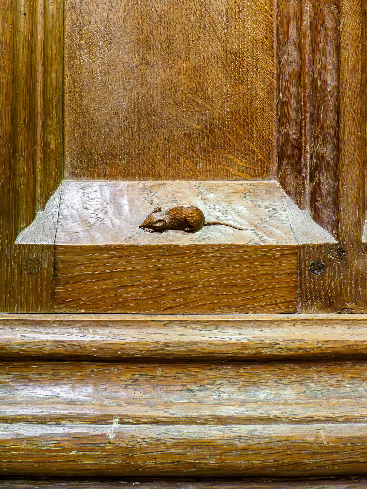 Click image for larger version  Name:	no_exif_P8029759.jpg Views:	0 Size:	474.7 KB ID:	1044778