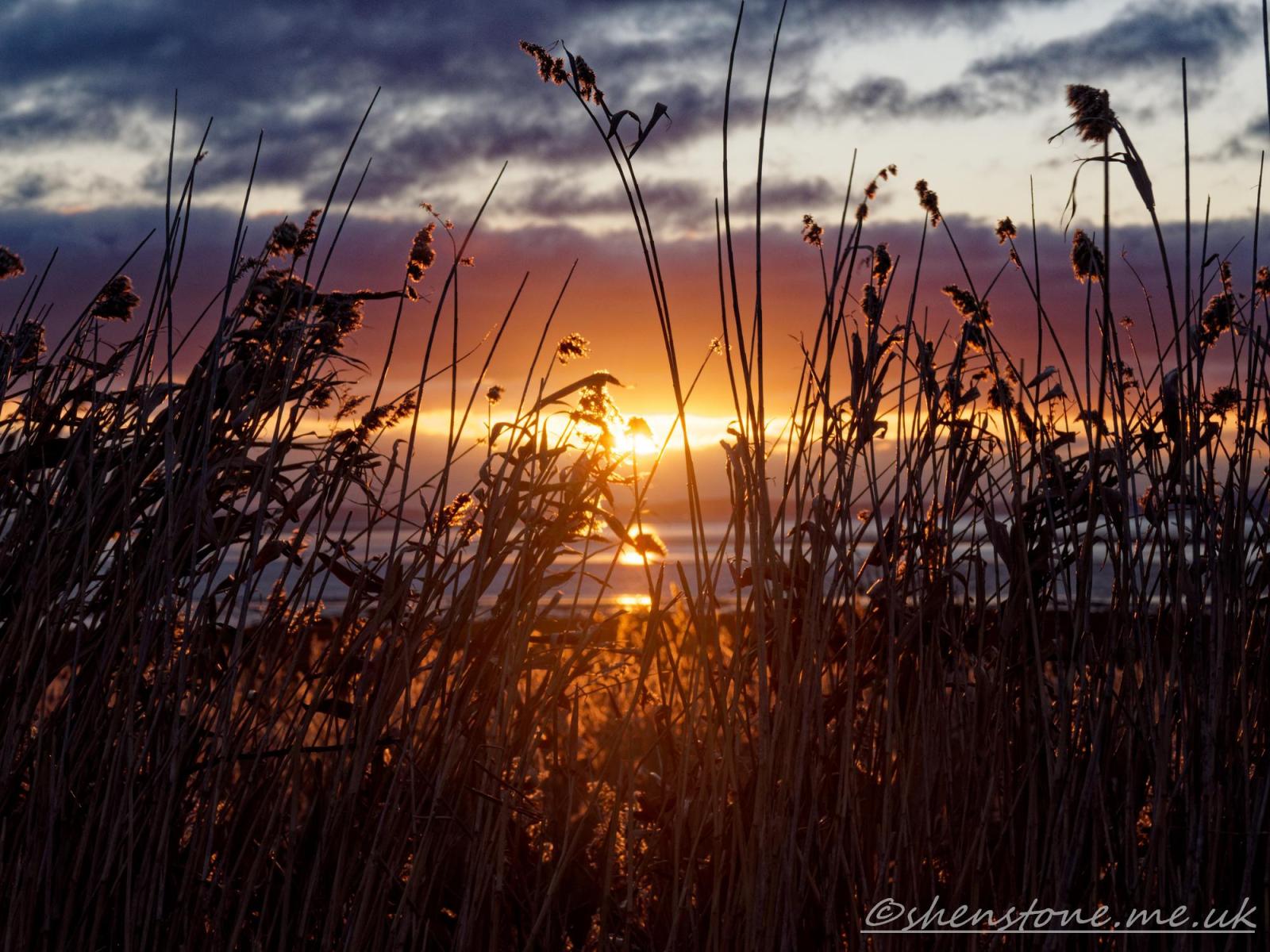 Click image for larger version

Name:	Wetlands Centre_00002.jpg
Views:	526
Size:	250.3 KB
ID:	1044788