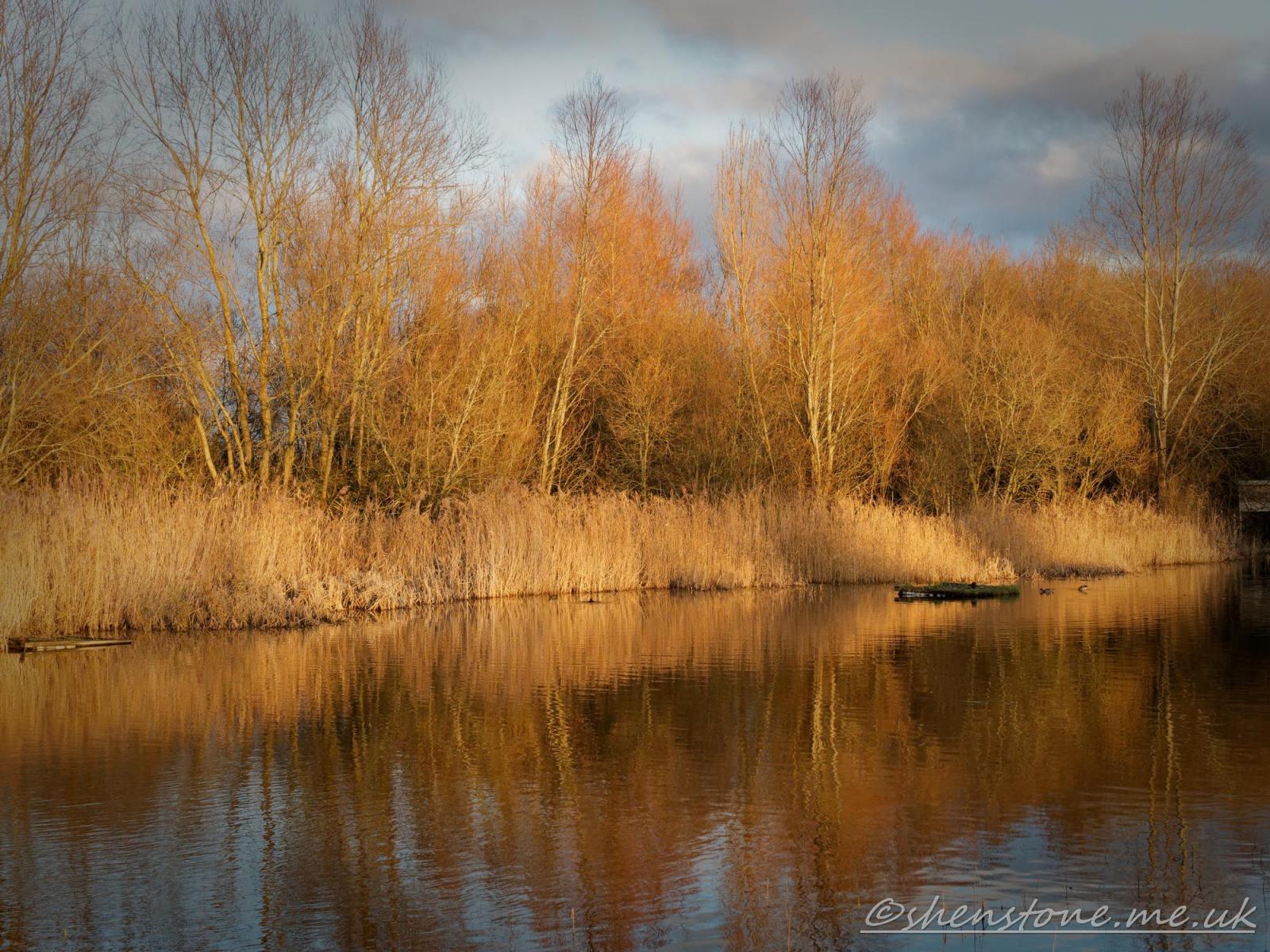 Click image for larger version

Name:	Wetlands Centre_00001.jpg
Views:	48
Size:	338.0 KB
ID:	1044790