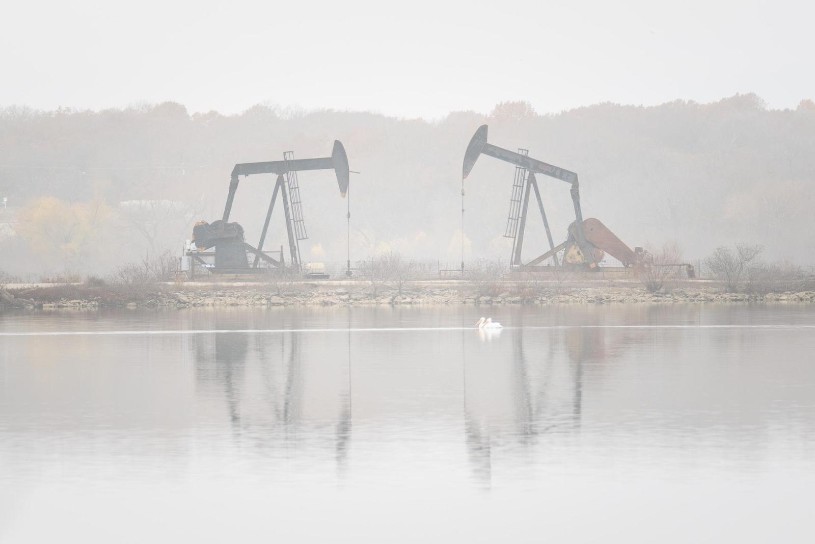 Click image for larger version

Name:	_C170116.jpg
Views:	122
Size:	86.9 KB
ID:	1044877