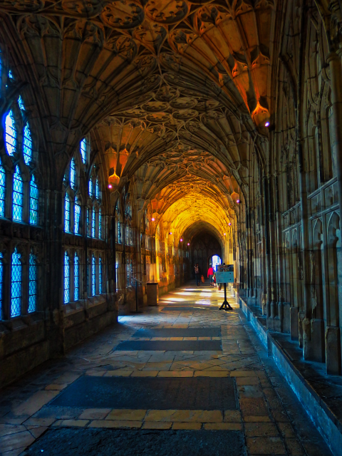 Click image for larger version

Name:	P9250030_DxO.png
Views:	94
Size:	604.8 KB
ID:	1044989