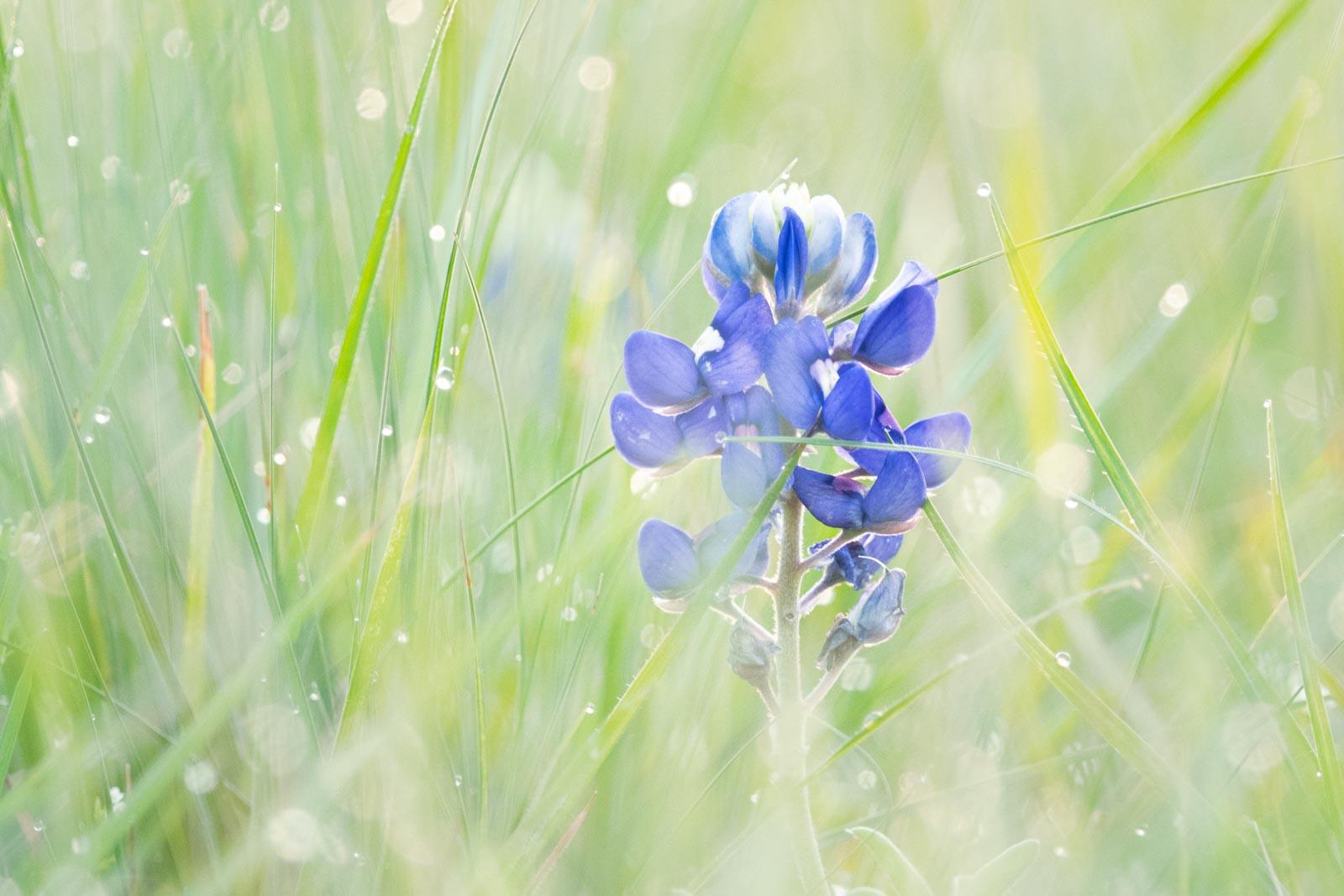 Click image for larger version

Name:	_4051443.jpg
Views:	86
Size:	142.6 KB
ID:	1045406