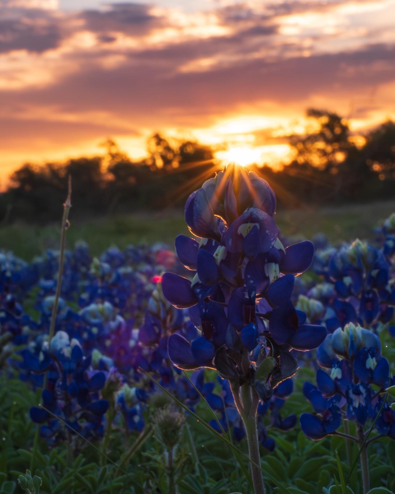 Click image for larger version

Name:	_4055437.jpg
Views:	27
Size:	151.2 KB
ID:	1045407