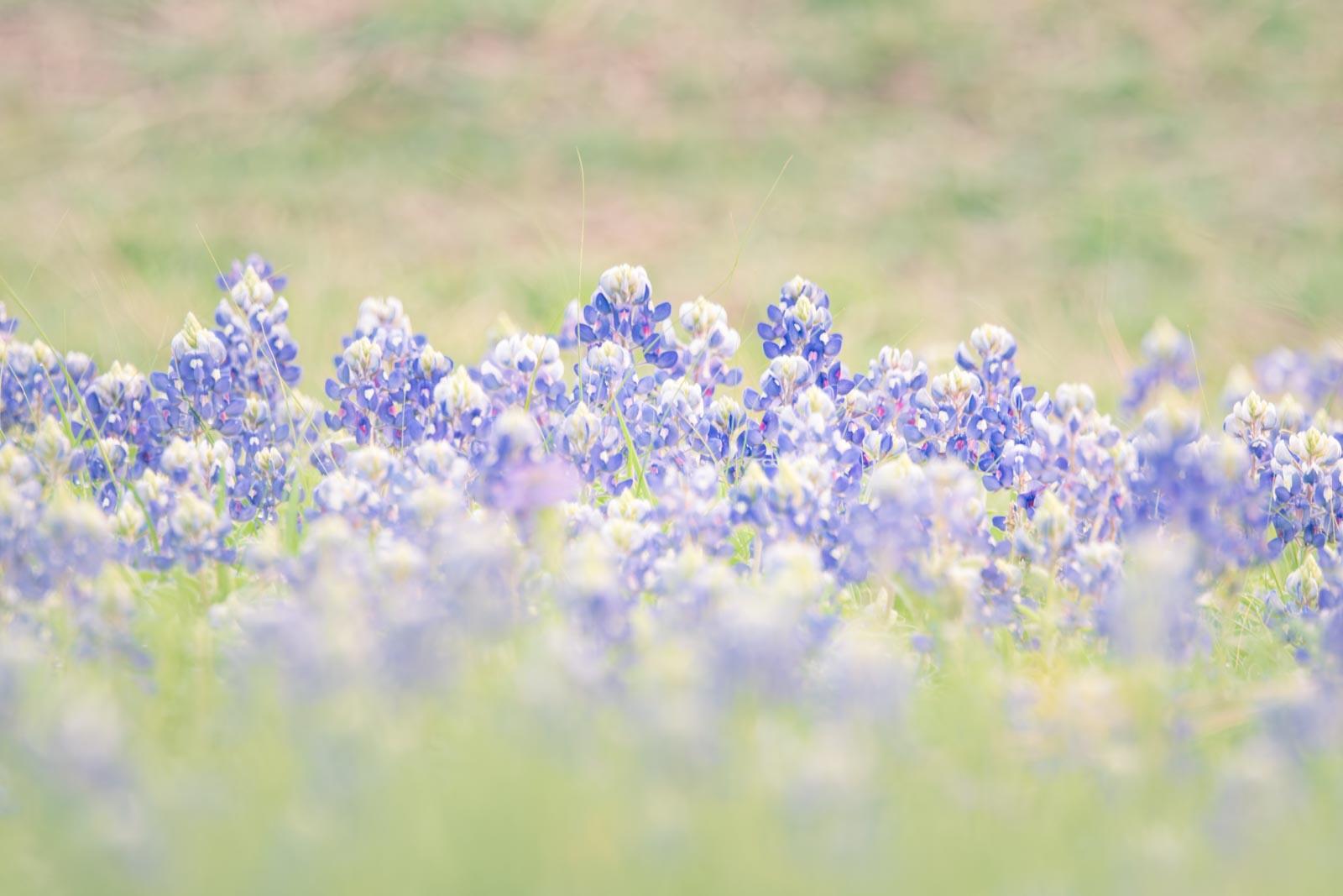 Click image for larger version

Name:	_4051453.jpg
Views:	26
Size:	123.0 KB
ID:	1045408