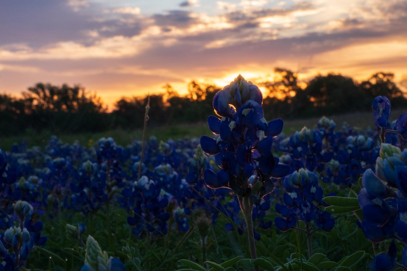 Click image for larger version

Name:	_4055436.jpg
Views:	25
Size:	143.7 KB
ID:	1045409