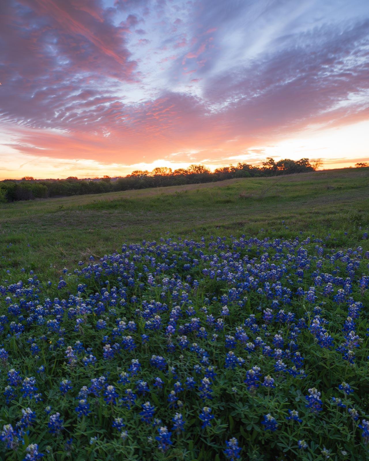 Click image for larger version

Name:	_4055148.jpg
Views:	27
Size:	296.0 KB
ID:	1045410