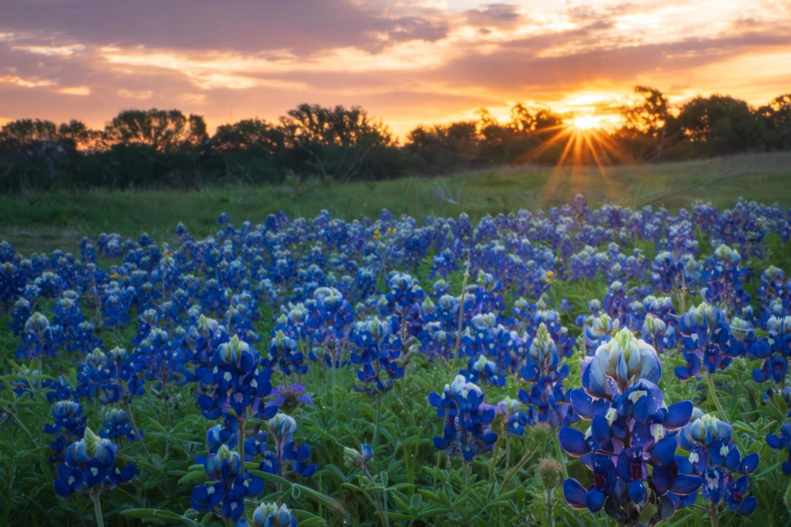 Click image for larger version

Name:	_4055454.jpg
Views:	26
Size:	211.7 KB
ID:	1045411