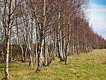 marlpark1 24