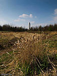 20100412 P4120291