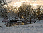 The duck pond at Glasgow's Queens Park during a recent cold snap.