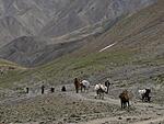 Trekking at 5000m.