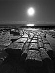 llantwit major limestone pavement 1