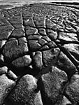 llantwit major limestone pavement 2