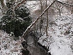 snow