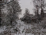snow
