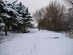 snow