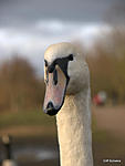 you looking at me?