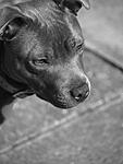 China in deep thought