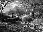 Bidston Hill Trig point