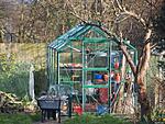 Garden sun - Oly colour