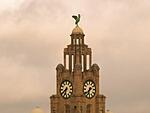 One of the Liver birds taken with the Vivitar 400mm and x2 teleconverter