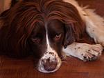 Lucky, taken with the E-1 and a Makinon 135 f2.8