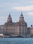 Liver Buildings