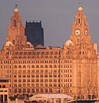 Close up of the Liver building