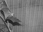 PA078420 from RAW crop websize