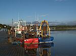 Fishing boats in Dundalk Harbour 1