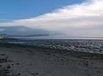 Misty morning at the strand.