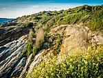 Beavertail Rocks